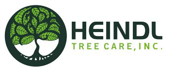 Thank you Heindl Tree Care – 2018 Sponsor
